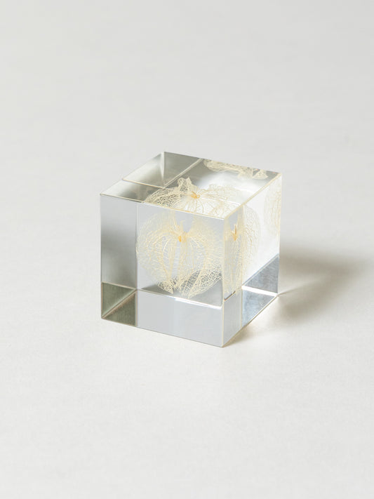 Sola Cube - Apple of Peru