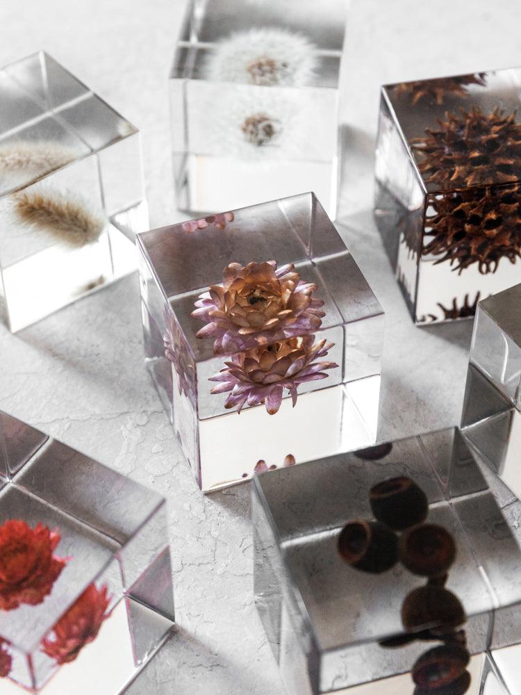 Sola Cube - Siberian Larkspur - Rikumo